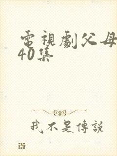电视剧父母爱情40集