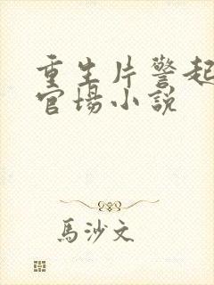 重生片警起步的官场小说