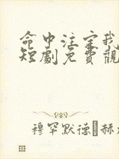 命中注定我怼你短剧免费观看