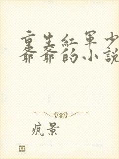 重生红军少帅毛爷爷的小说