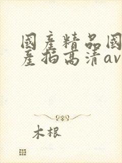 国产精品国产自产拍高清av