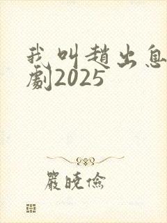 我叫赵出息电视剧2025封面