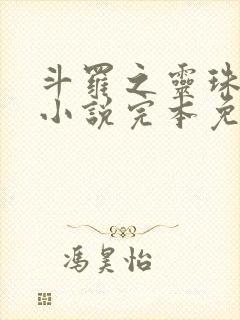 斗罗之灵珠神剑小说完本免费阅读封面