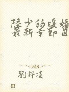 陆少的暖婚新妻最新章节目录