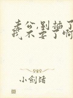 老公,别插了,我不要了啊啊啊封面