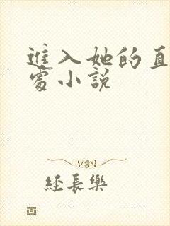 进入她的直肠深处小说