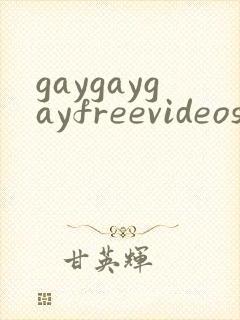gaygaygayfreevideos