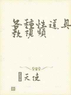 各种性道具的调教视频