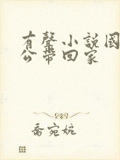 有声小说国民老公带回家