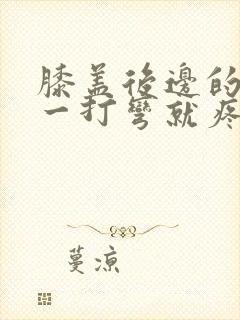 膝盖后边的腿窝一打弯就疼吃什么药