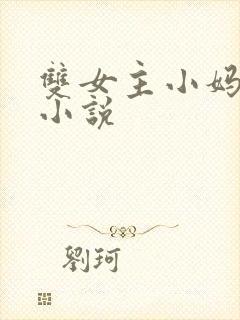 双女主小妈文学小说