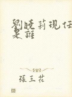 刘晓莉现任丈夫是谁