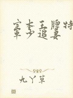 完本王牌特战之军少追妻封面