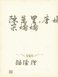 陈万里,唐嫣然宋娇娇封面