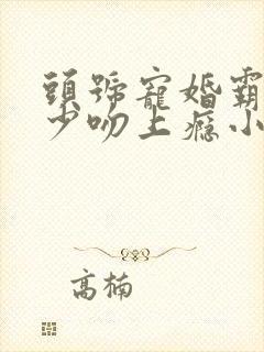 头号宠婚霸道权少吻上瘾小说