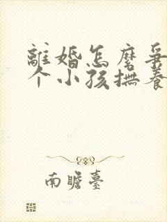 离婚怎么争取两个小孩抚养权