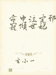 命中注定邪王独宠倾世妃