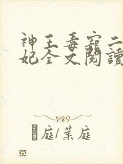 神王毒宠二嫁王妃全文阅读封面