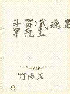 斗罗:武魂是铸星龙王