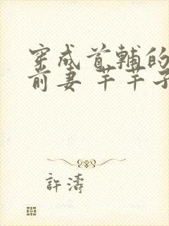 穿成首辅的炮灰前妻 芊芊子卿封面