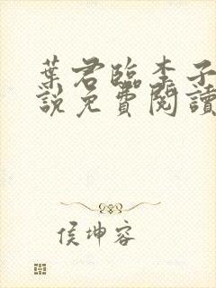 叶君临李子染小说免费阅读