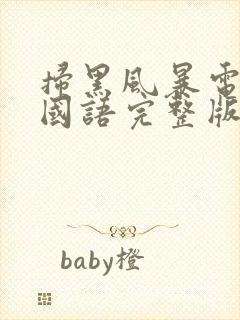 扫黑风暴电视剧国语完整版免费观看