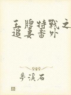 王牌特战之军少追妻番外