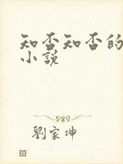 知否知否的原著小说