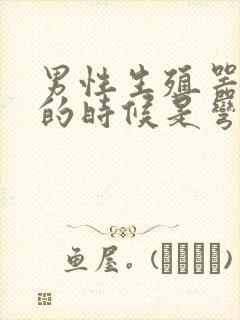 男性生殖器勃起的时候是弯的怎么办