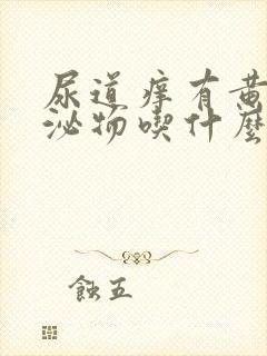 尿道痒有黄色分泌物吃什么药