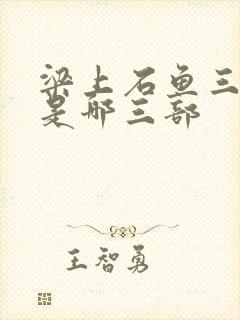 梁上石鱼三部曲是哪三部