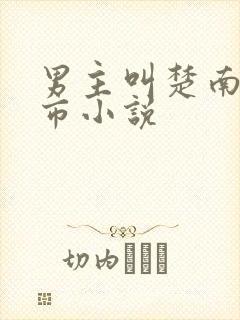 男主叫楚南的都市小说封面