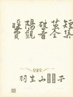 暖阳破茧短剧免费观看全集播放