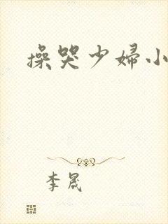 操哭少妇小说封面