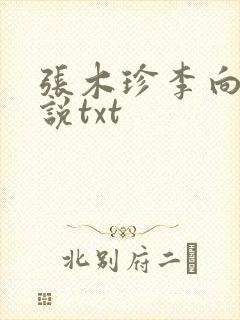 张木珍李向南小说txt封面
