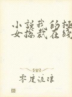 小说我的极品美女总裁在线