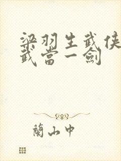 梁羽生武侠小说武当一剑