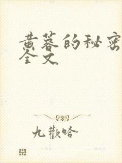 黄蓉的秘密小说全文封面