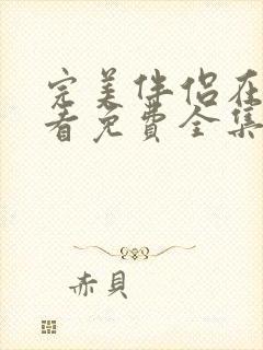 完美伴侣在线观看免费全集封面