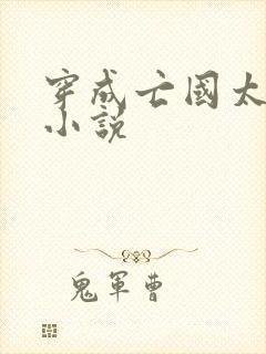 穿成亡国太子妃小说封面