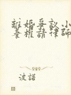 离婚争议小孩抚养权请律师要多少钱封面