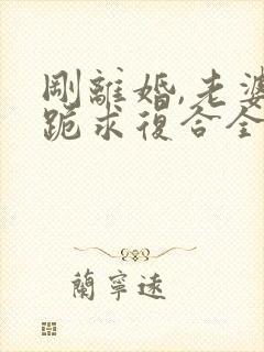 刚离婚,老婆就跪求复合全本txt免费下载封面