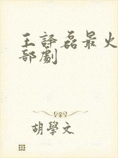 王译磊最火的三部剧