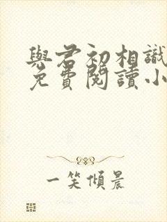 与君初相识全文免费阅读小说