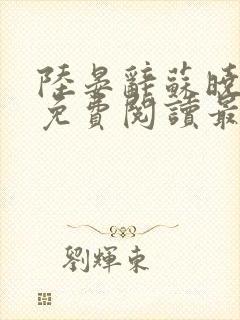 陆晏辞苏晓小说免费阅读最新章节