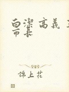 白洁 高义 王市长封面