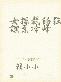 女总裁的狂龙保镖叶冷峰