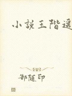 小说玉阶遥封面