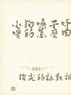 小狗嗓子呼噜呼噜的怎么回事封面