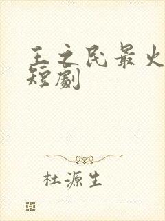 王之民最火十部短剧